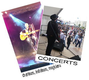 concerts, spectacles vivants en Vendée